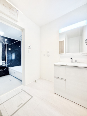 ���̑��@����������z���C�g�J���[����Ƃ������ʎ�