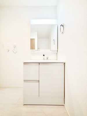 ���ʑ�E���ʏ��@�X�^�C�����O�ɕ֗��ȎO�ʋ��A�~���[�L���r�l�b�g�ōׂ������X�b�L��