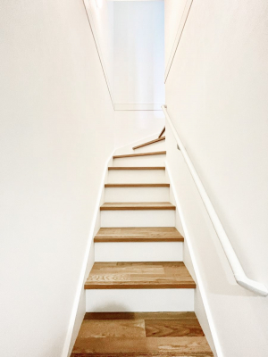 ̑@Ki͎肷tȂ̂ŏȂq܂₲̕Sł  