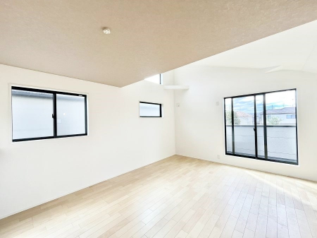 rO@傫ȑ炽Ղ̗zƕ郊rO