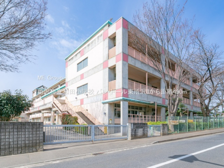 ���ӊ��@���w�Z 490m ����s���a�c���w�Z