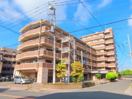 ���n�O�ώʐ^�@��Ƃ肪�Ί�𐶂ސS�n�悢���� 