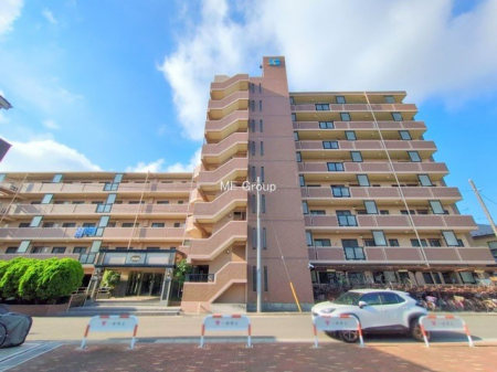 ���n�O�ώʐ^�@����z���ł��Ƒ��̏Ί���P�� 