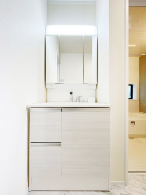 ���ʑ�E���ʏ��@���[�͂Ƌ@�\���ɗD�ꂽ���ʉ��ϑ�