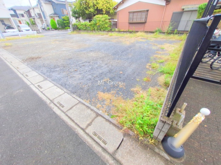 ���n�y�n�ʐ^�@-