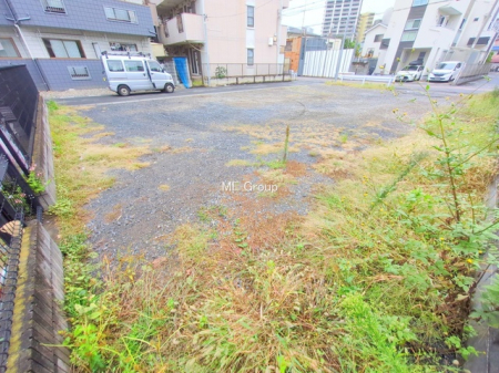 ���n�y�n�ʐ^�@-