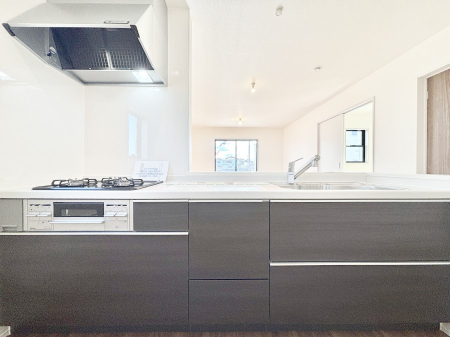 �L�b�`���@�������������I�ɁA�y�����I�V�X�e���L�b�`��  