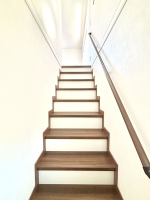 ̑@Ki͎肷tȂ̂ŏȂq܂₲̕Sł  