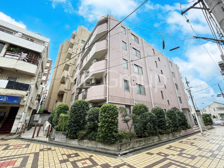 nOώʐ^@Ƃ肪Ί𐶂ސSn悢 