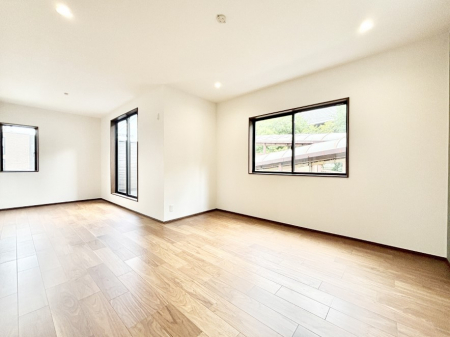 rO@傫ȑ炽Ղ̗zƕ郊rO