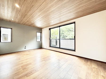 rO@傫ȑ炽Ղ̗zƕ郊rO