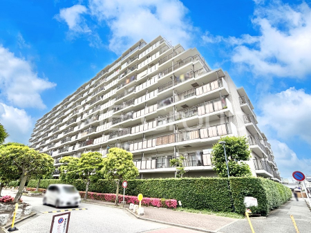 ���n�O�ώʐ^�@��Ƃ肪�Ί�𐶂ސS�n�悢���� 