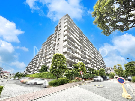 ���n�O�ώʐ^�@��������n�܂�V�����������������܂�