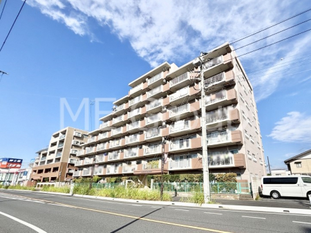 nOώʐ^@Ƃ肪Ί𐶂ސSn悢   