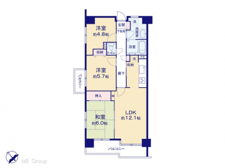 Ԏ}îP}Vj@}ʂƈقȂꍇ͌D