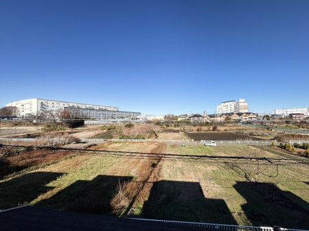 ���̑��@�o���R�j�[����̒��]�ł��B�S�n�悢����������ꂻ���ł��ˁI