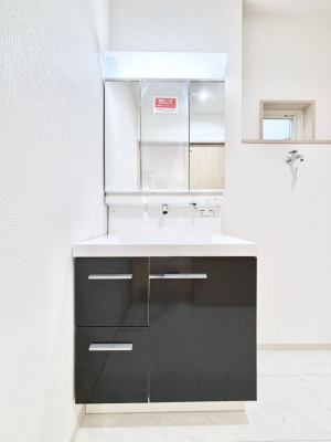 ʑEʏ@傫₷OʋŐʑ́AgȂ݃`FbN┧̂ɂ߂łB 