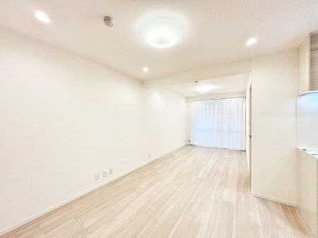 rO@傫ȑ炽Ղ̗zƕ郊rO