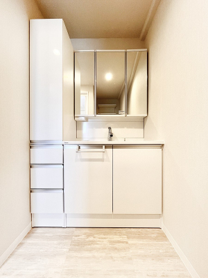 ���ʑ�E���ʏ��@���[�͂Ƌ@�\���ɗD�ꂽ���ʉ��ϑ�