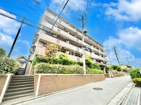 nOώʐ^@Ƃ肪Ί𐶂ސSn悢 