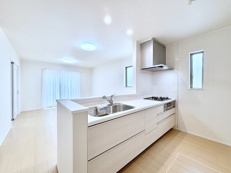 �L�b�`���@�J�E���^�[�z���Ɋy����������ׂ�B�����̂������������Ɣ��������Ȃ肻���ł��ˁB 