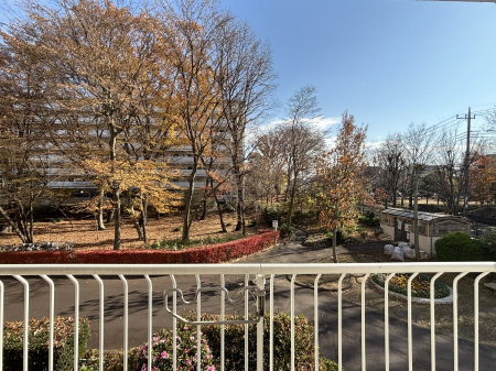 ���̑��@�o���R�j�[����̒��]�ł�