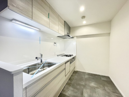 �L�b�`���@�������̂������ŉƑ��̏Ί炪�L����܂��I