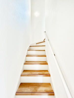 ̑@Ȃql₲Nz̕ɊzIKiɂ͎萠tłB