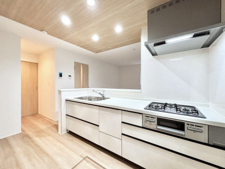 Lb`@rOnlC̃JE^[Lb`B ƑȂƎ邱Ƃł܂B