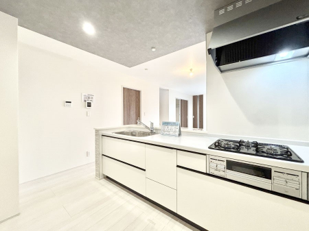 �L�b�`���@�������������I�ɁA�y�����I�V�X�e���L�b�`��  