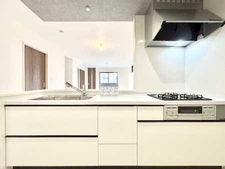 �L�b�`���@���������Ȃ���ł����Ƒ��Ƃ̉�b���y���߂�ΖʃL�b�`��