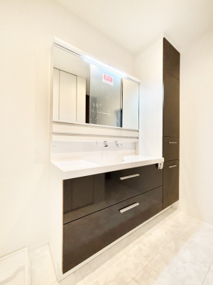 ���ʑ�E���ʏ��@�X�^�C�����O�ɕ֗��ȎO�ʋ��A�~���[�L���r�l�b�g�ōׂ������X�b�L��