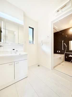 ���̑��@�_�炩�Ȓ��̌����������鏬�����������ʎ�