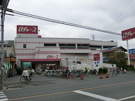 ӊ@X[p[ 800m IUVcX