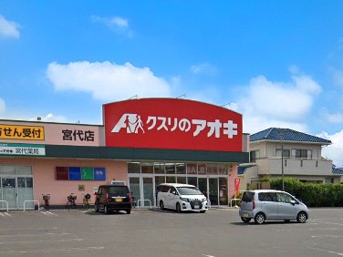 ���ӊ��@�h���b�O�X�g�A 373m �N�X���̃A�I�L �{��X