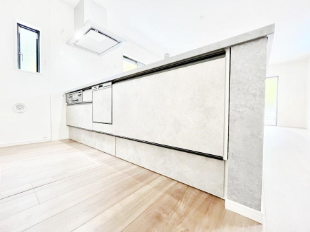 Lb`@VXeLb`̓VvŃXbLO̗ȂfUCȂ̂ŉigI