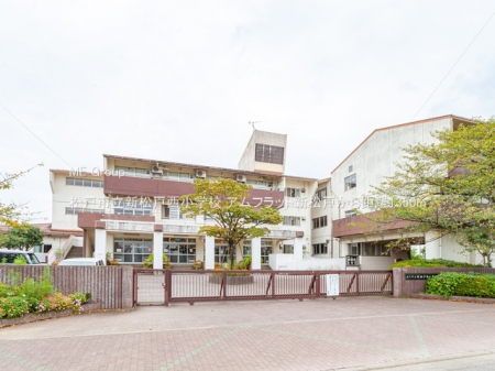 ӊ@wZ 1350m ˎsVːwZ