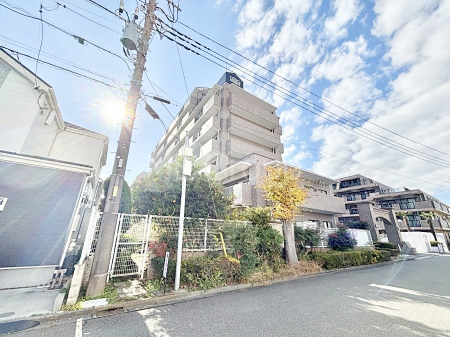 ���n�O�ώʐ^�@�����ɕ֗��Ȓn�ɐL�т₩�ȉƑ��̐������i��`���Z�܂�