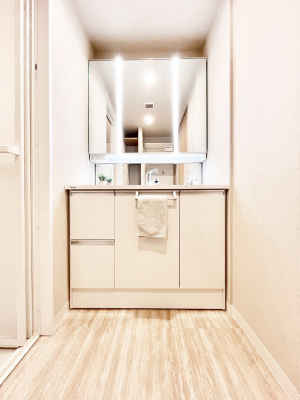 ʑEʏ@X^COɕ֗ȎOʋA~[LrlbgōׂXbL