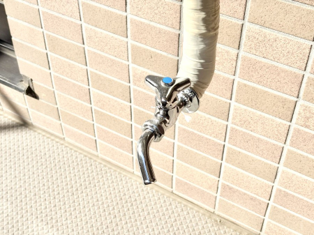 ���̑����ρ@�o���R�j�[����������΂��|�����y�X�ł��B    