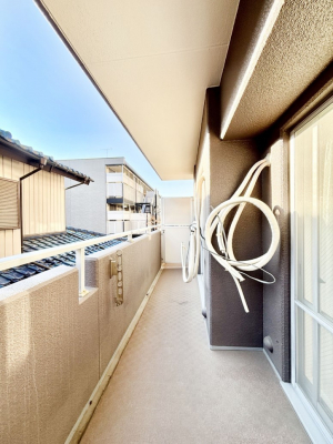 �o���R�j�[�@�S�n�悢���������Ȃ��炨���󕨂����������ł�