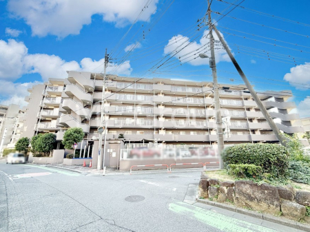 ���n�O�ώʐ^�@����z���ł��Ƒ��̏Ί���P�� 