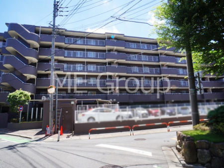 ���n�O�ώʐ^�@��������n�܂�V�����������������܂�