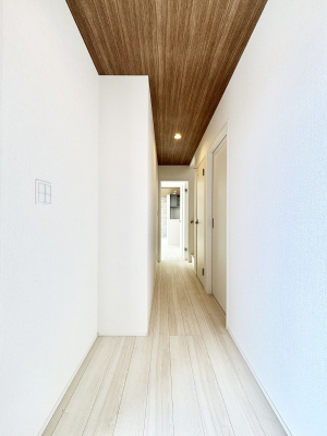 ���ց@�������ꂢ�ɂ��Ă����������ւł��ˁB  