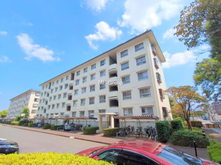 ̑ρ@傫ȑ炽Ղ̗zƕ郊rO  