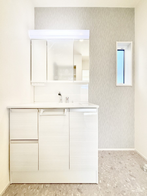 ʑEʏ@傫₷OʋŐʑ́AgȂ݃`FbN┧̂ɂ߂łB 