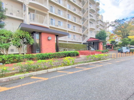 �G���g�����X�@-