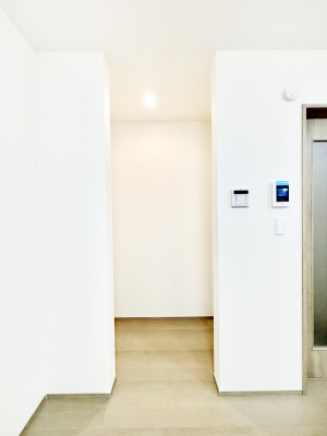 ���[�@���p�i��H�i�̃X�g�b�N�ȂǃX�b�L�����[�ł���p���g���[�t���ł��B