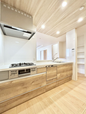 �L�b�`���@�������������I�ɁA�y�����I�V�X�e���L�b�`��  