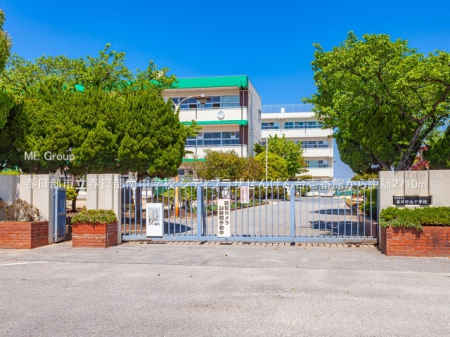 ӊ@wZ 2710m tst쒆wZ